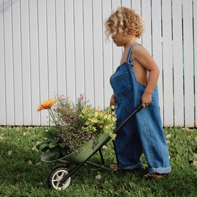 Kids Steel Toy Wheelbarrow