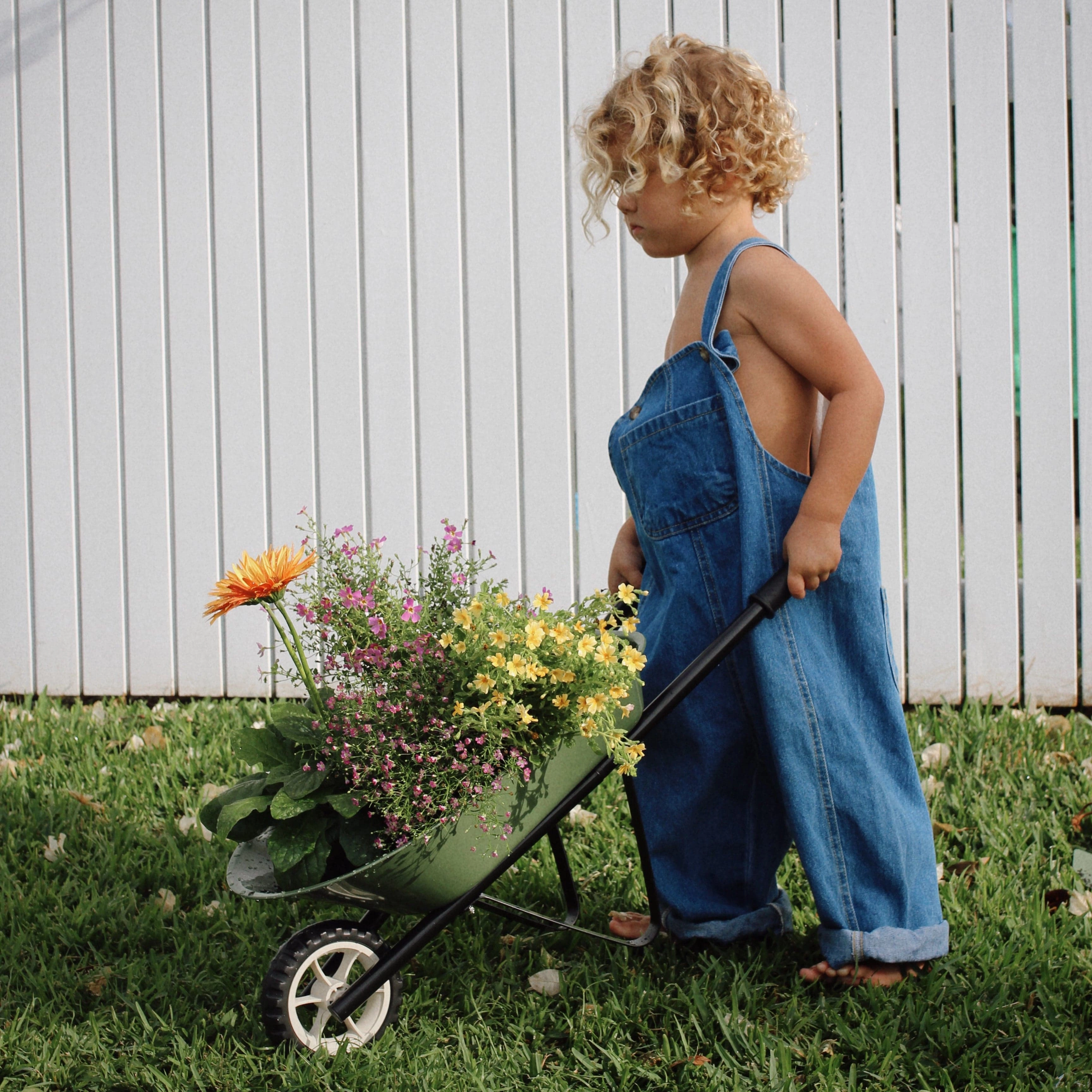 Kids Steel Toy Wheelbarrow