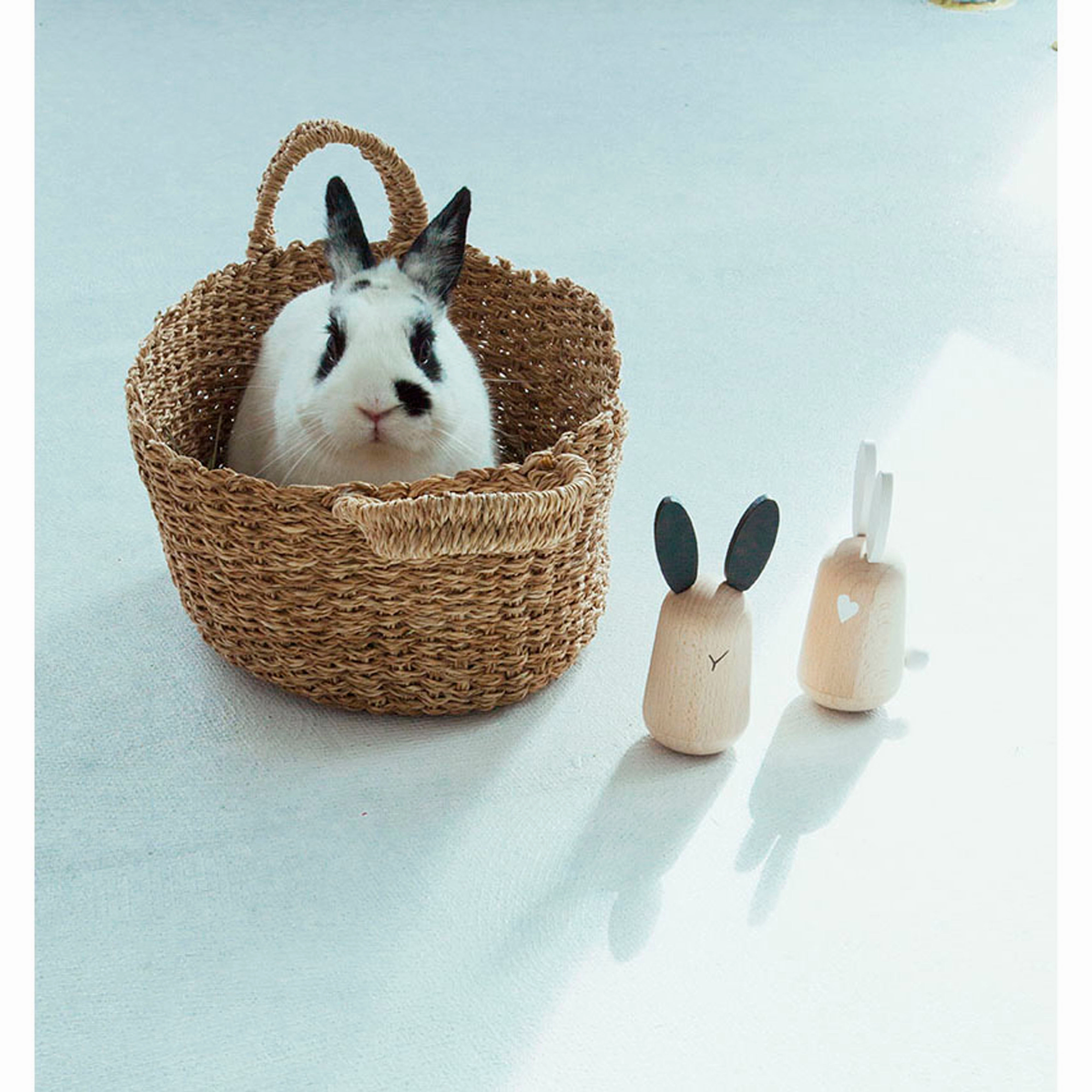 kiko  & gg* A Pair of Loving Musical Rabbits