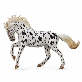 Knabstrupper Mare Black Leopard