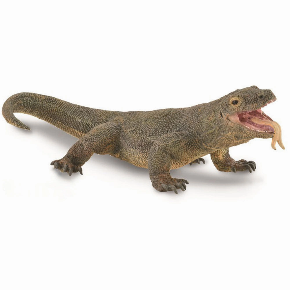 Komodo Dragon