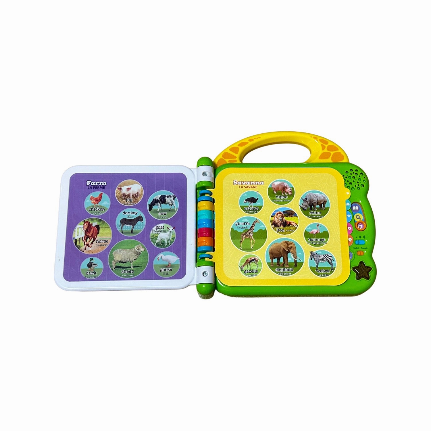 Leapfrog Educational Game & Activity Set O/S