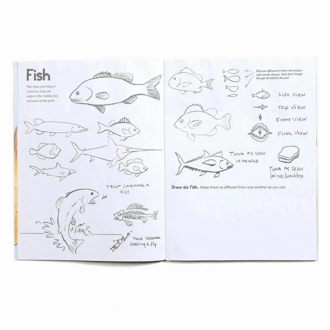 Learn To Draw Animals Art Book