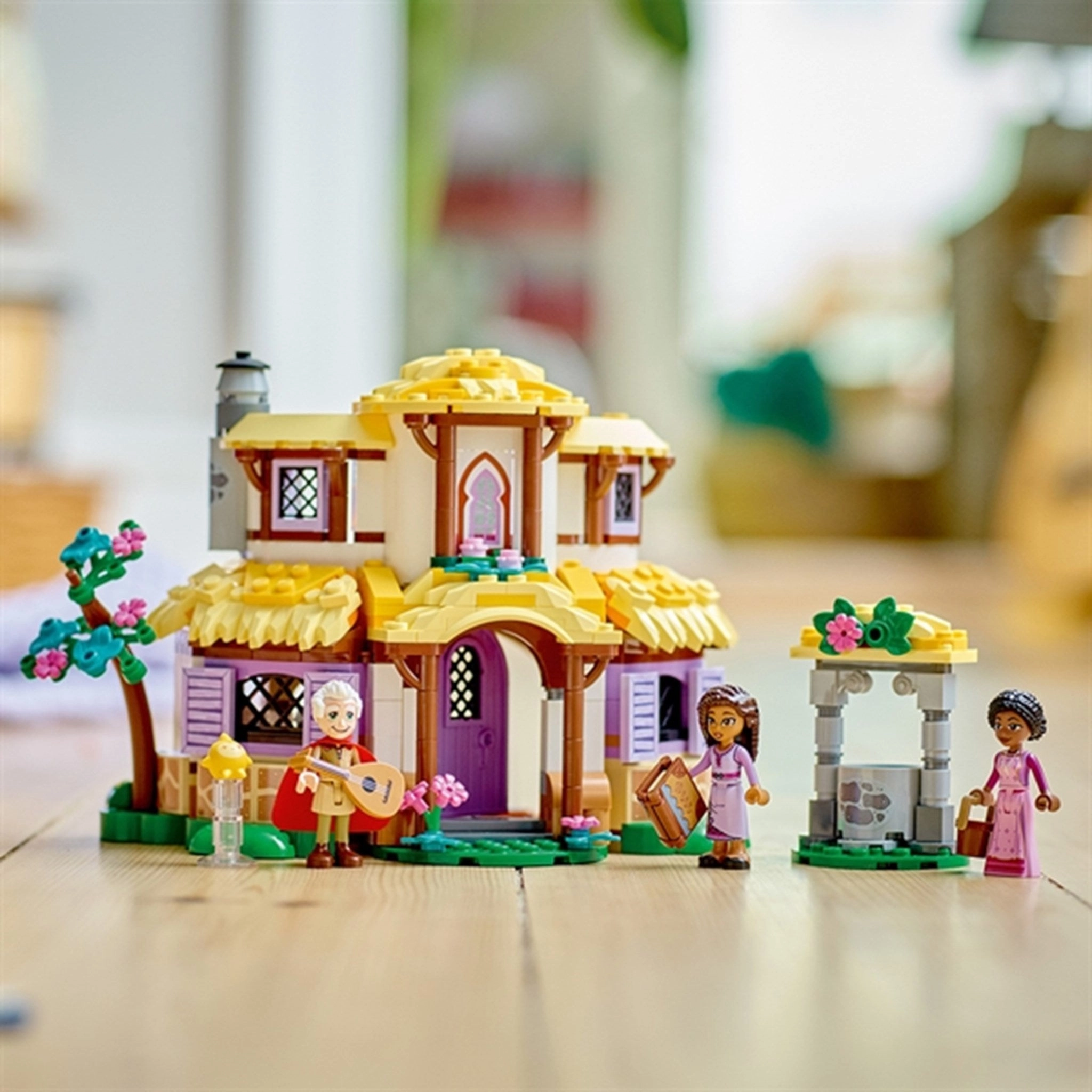 LEGO? Disney? Asha's Cottage