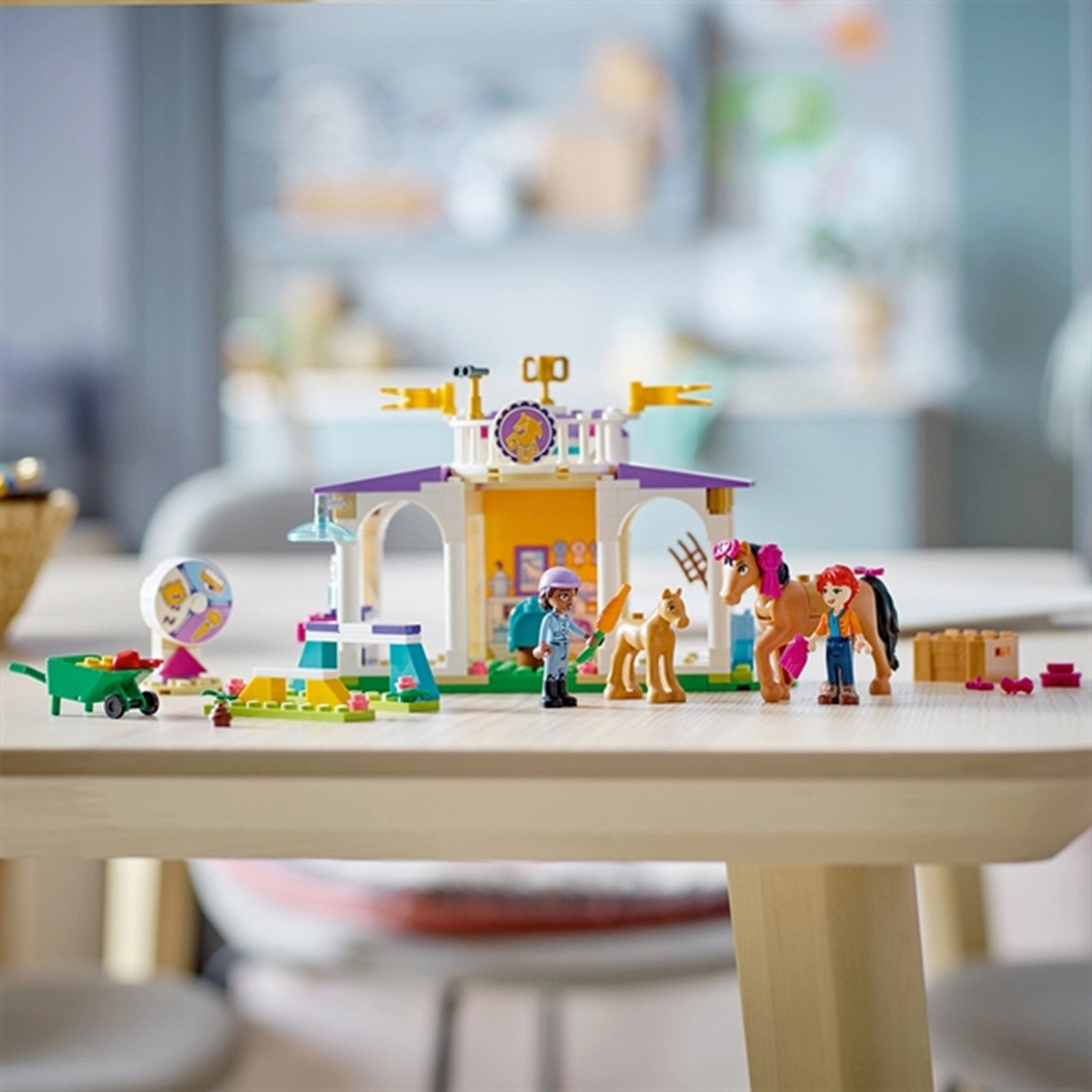 LEGO Friends Horse Training