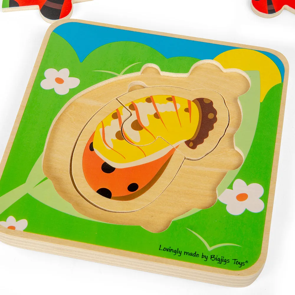 Lifecycle Layer Puzzle - Ladybug