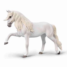 Lipizzaner Mare - Spanish walk