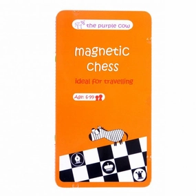 Magnetic Games To Go