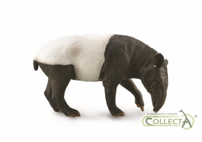 Malayan Tapir