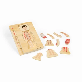 Male Human Anatomy Puzzle