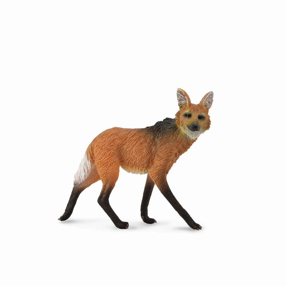 Maned Wolf