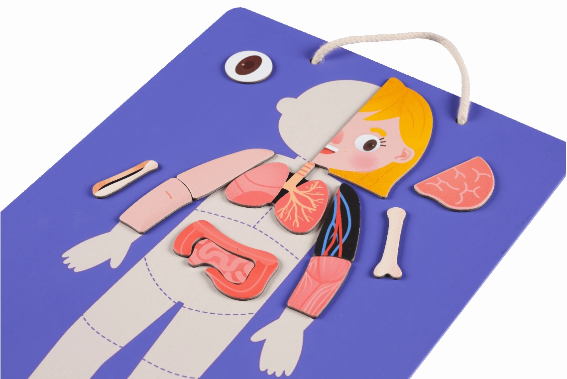 Mieredu Magnetic Kit - My Body   Emotion