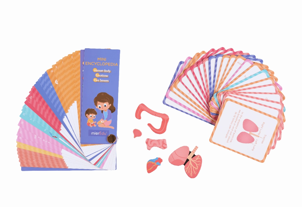 Mieredu Magnetic Kit - My Body   Emotion