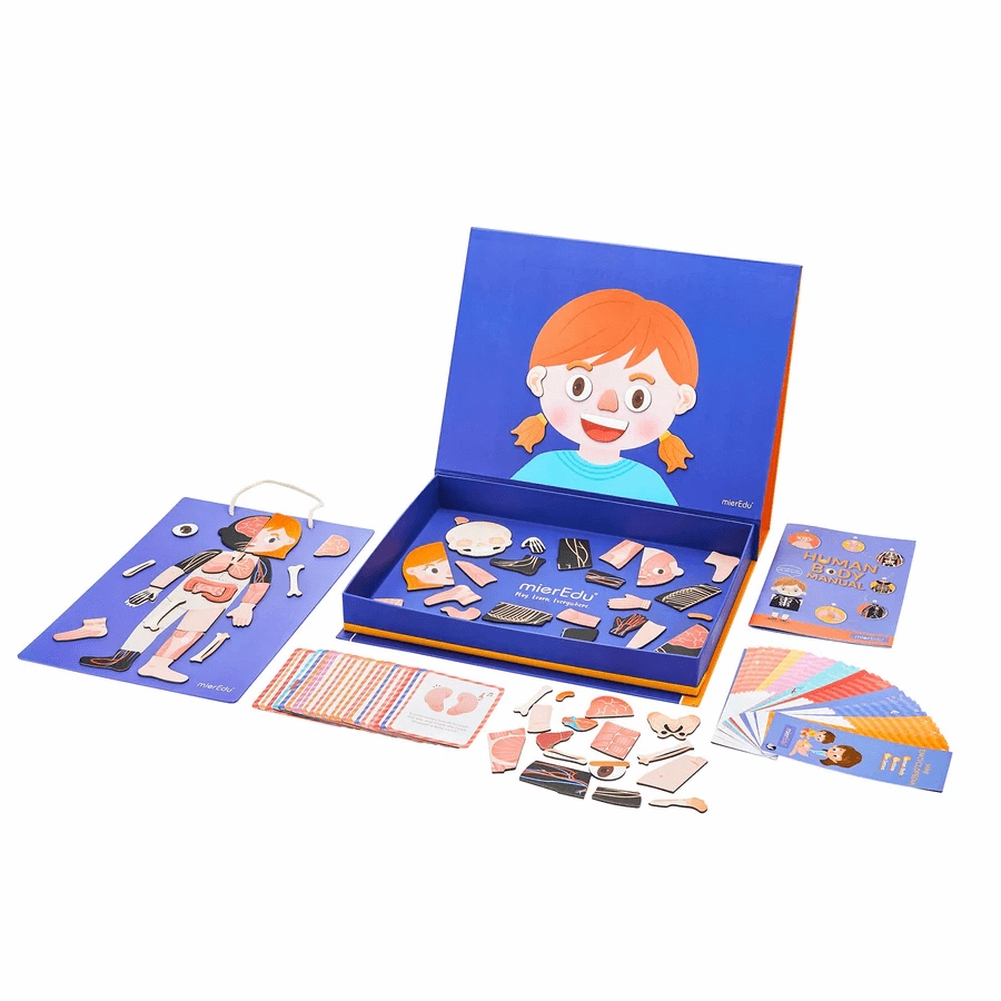 Mieredu Magnetic Kit - My Body   Emotion