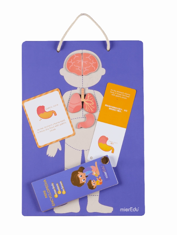 Mieredu Magnetic Kit - My Body   Emotion