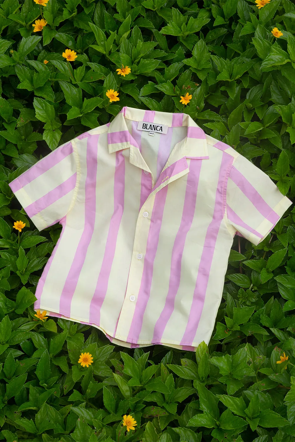 Milo Shirt Pink