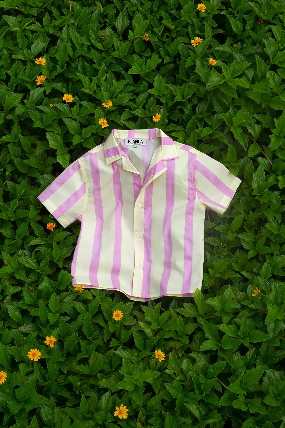 Milo Shirt Pink