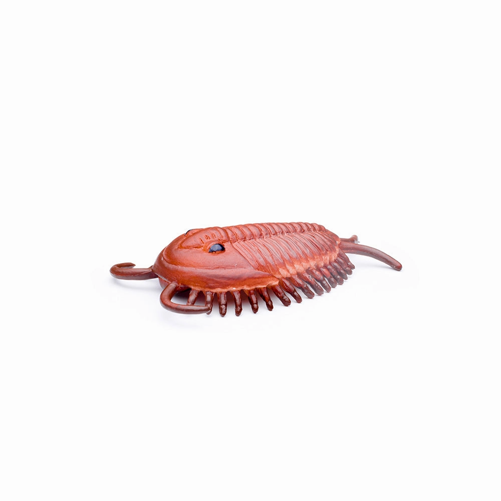 Mini Prehistoric Marine Animals