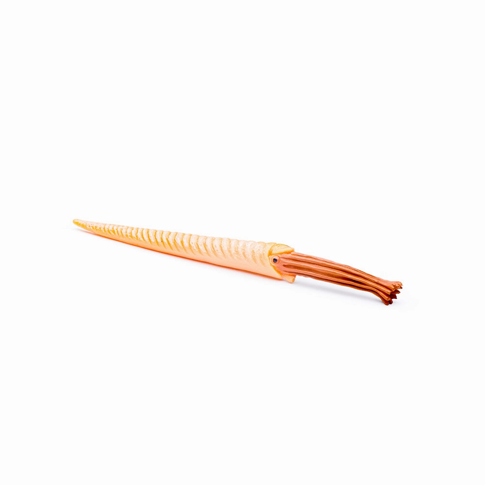 Mini Prehistoric Marine Animals