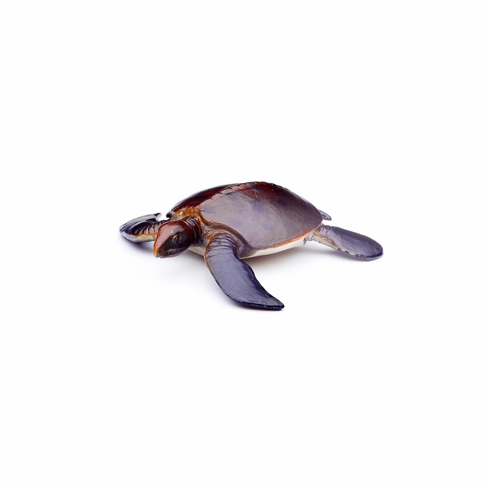 Mini Prehistoric Marine Animals
