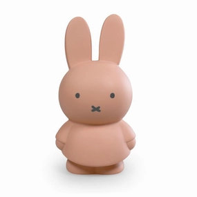 Money Box Miffy