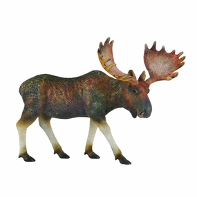 Moose