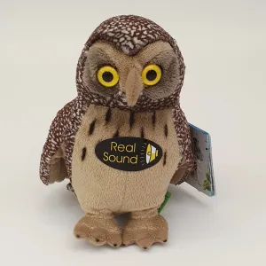 Morepork with sound