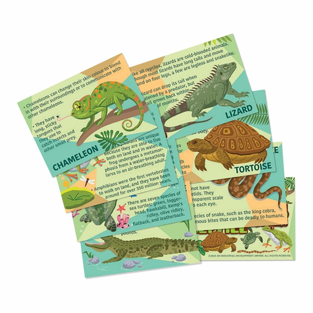 Mould & Paint - Reptiles and Amphibians