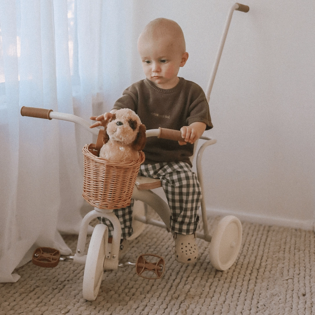 My First Pedal Trike with Parent Push Handle