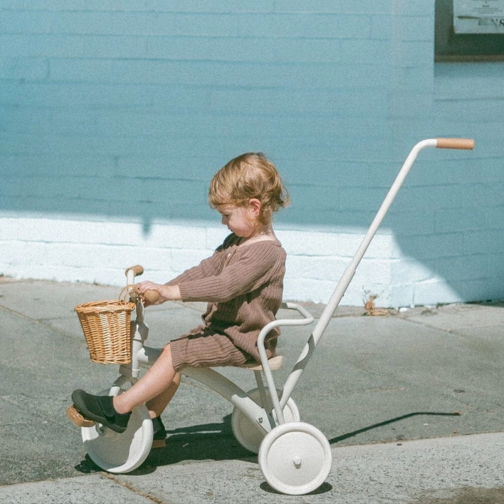 My First Pedal Trike with Parent Push Handle