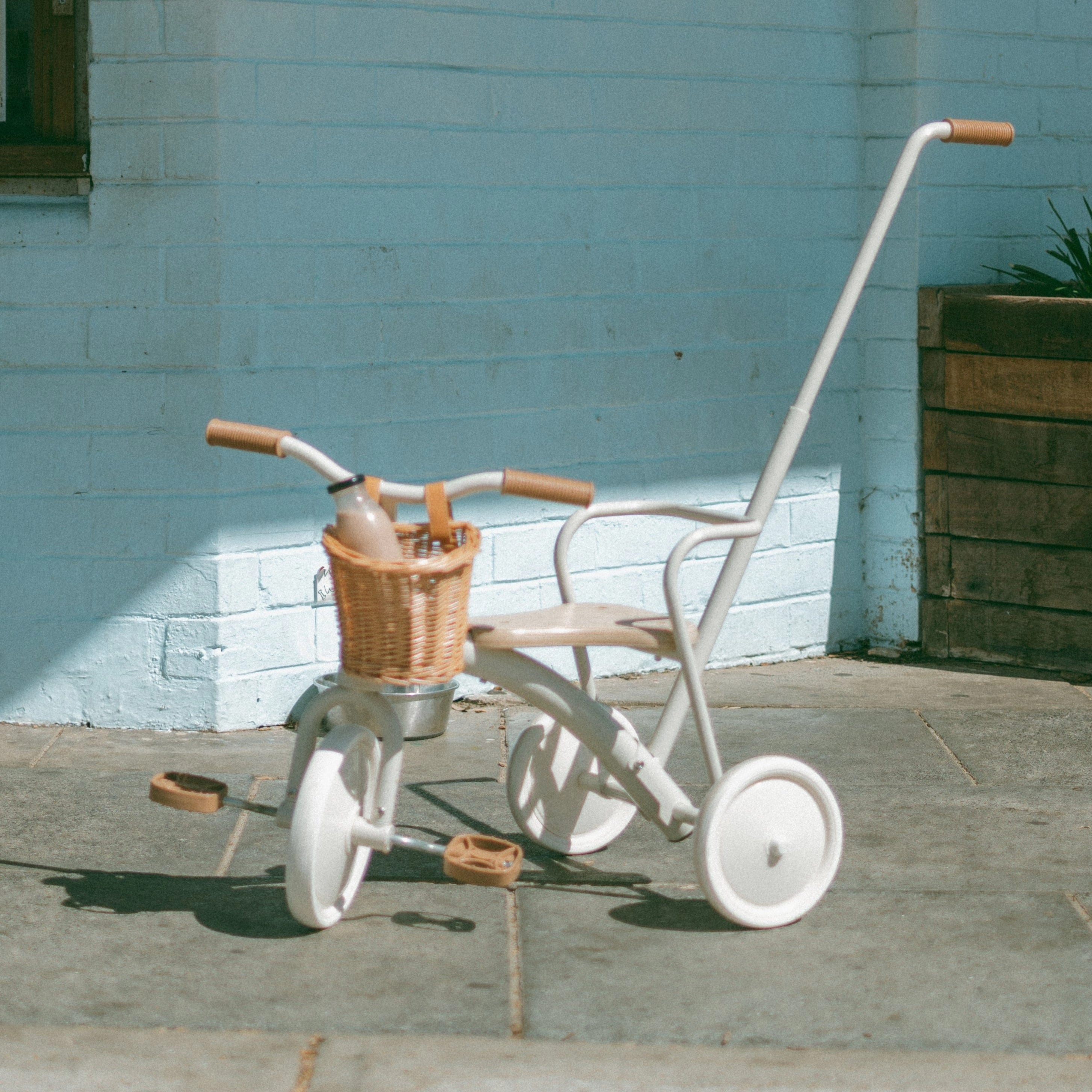My First Pedal Trike with Parent Push Handle