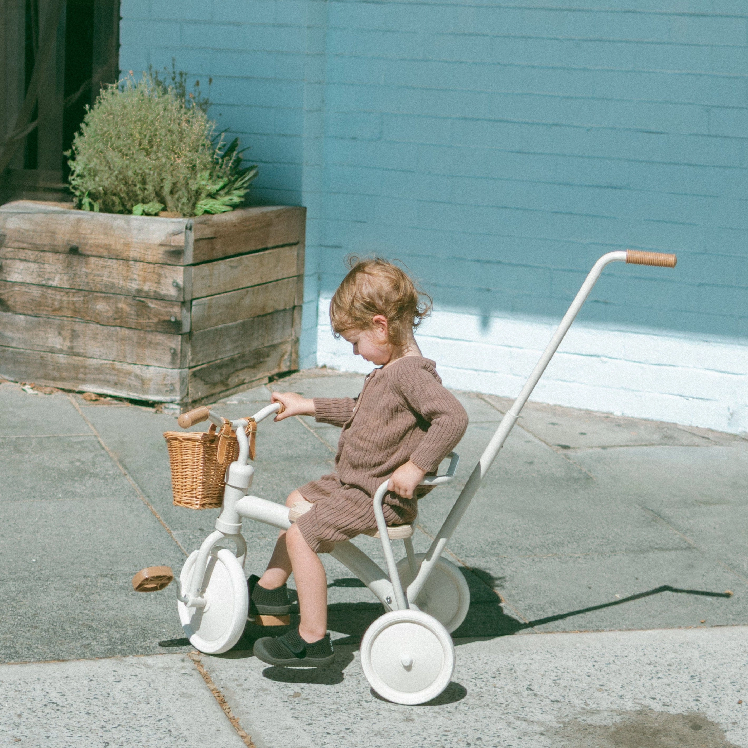 My First Pedal Trike with Parent Push Handle