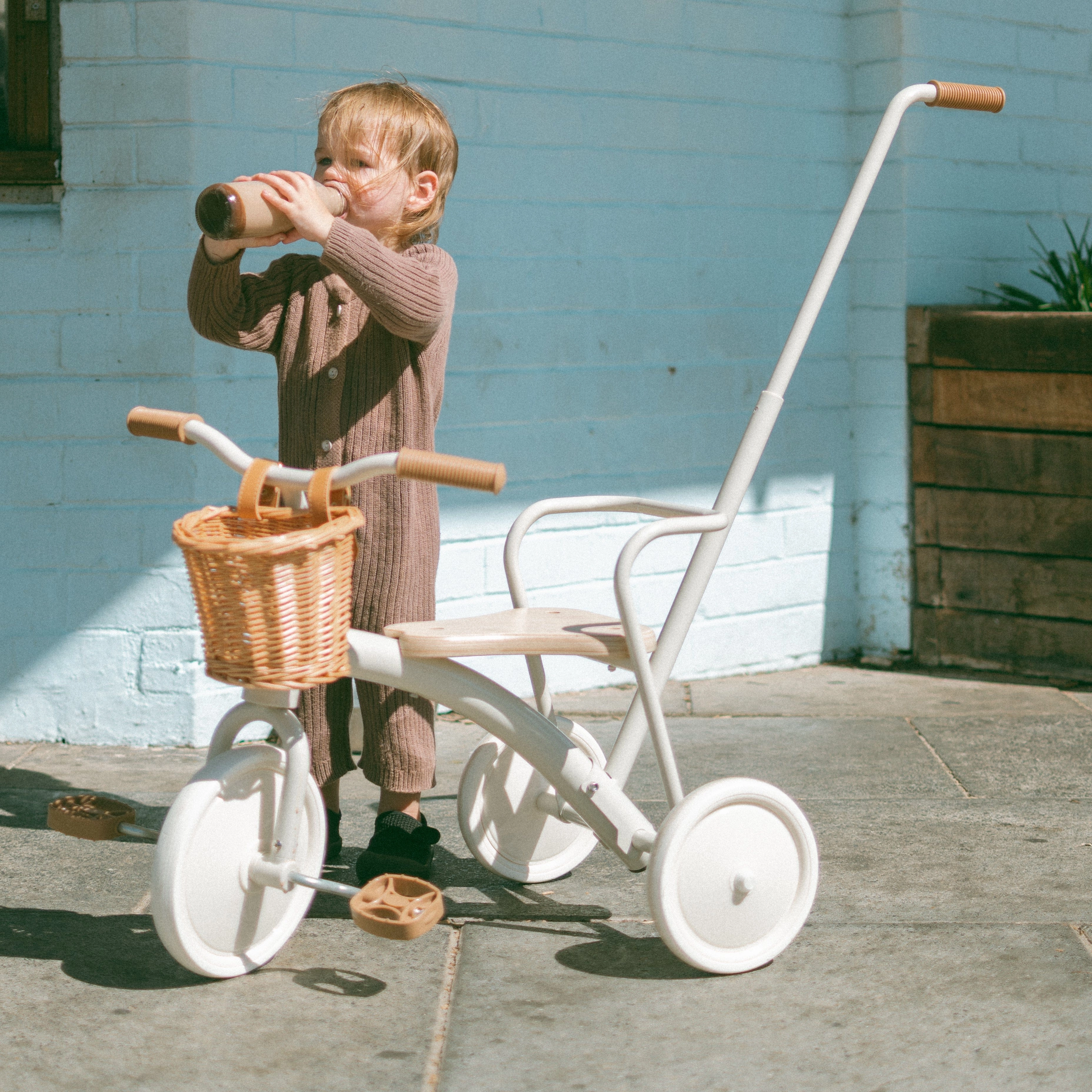 My First Pedal Trike with Parent Push Handle