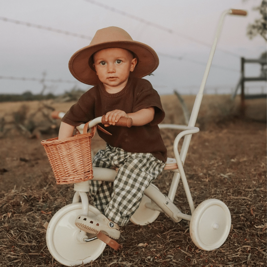 My First Pedal Trike with Parent Push Handle
