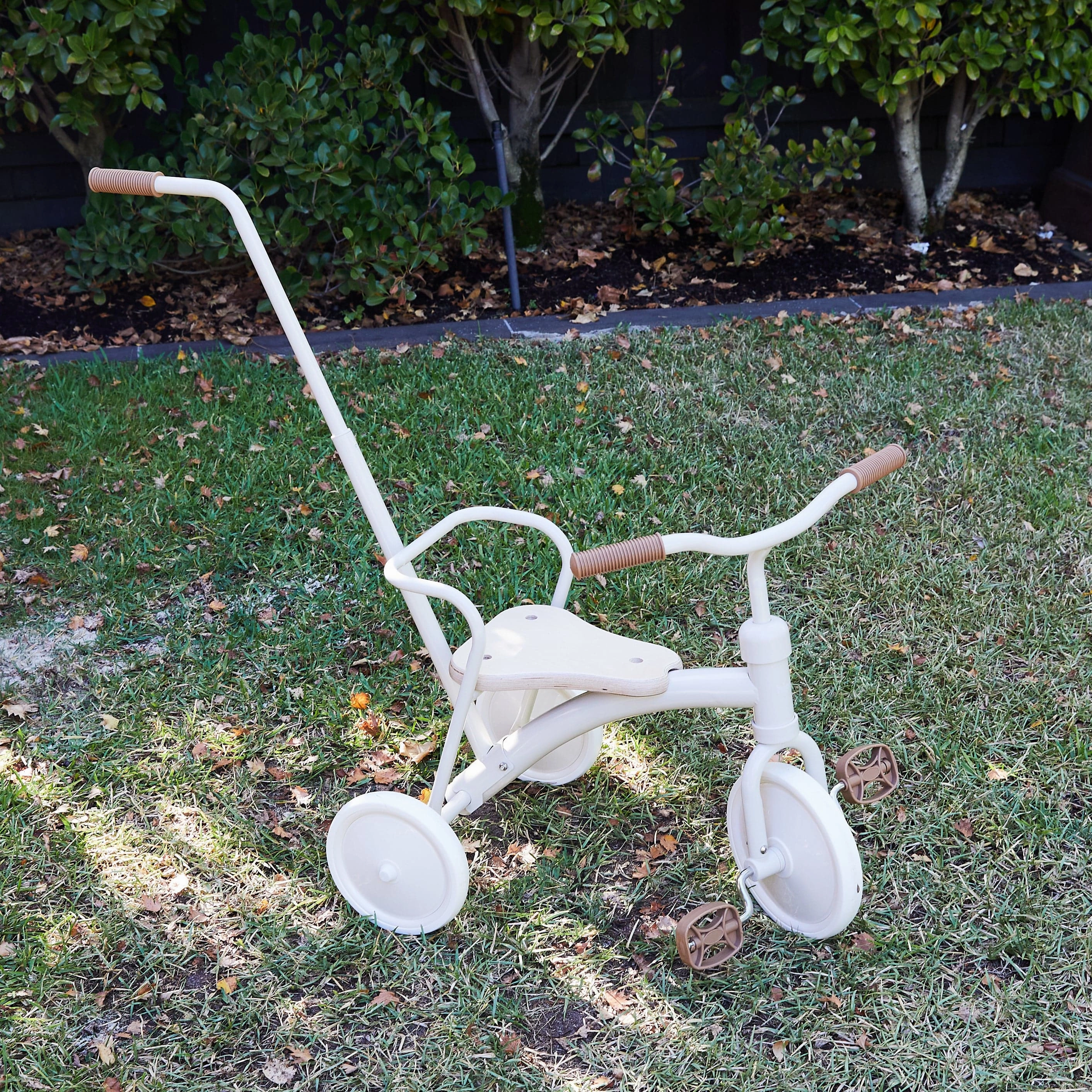 My First Pedal Trike with Parent Push Handle