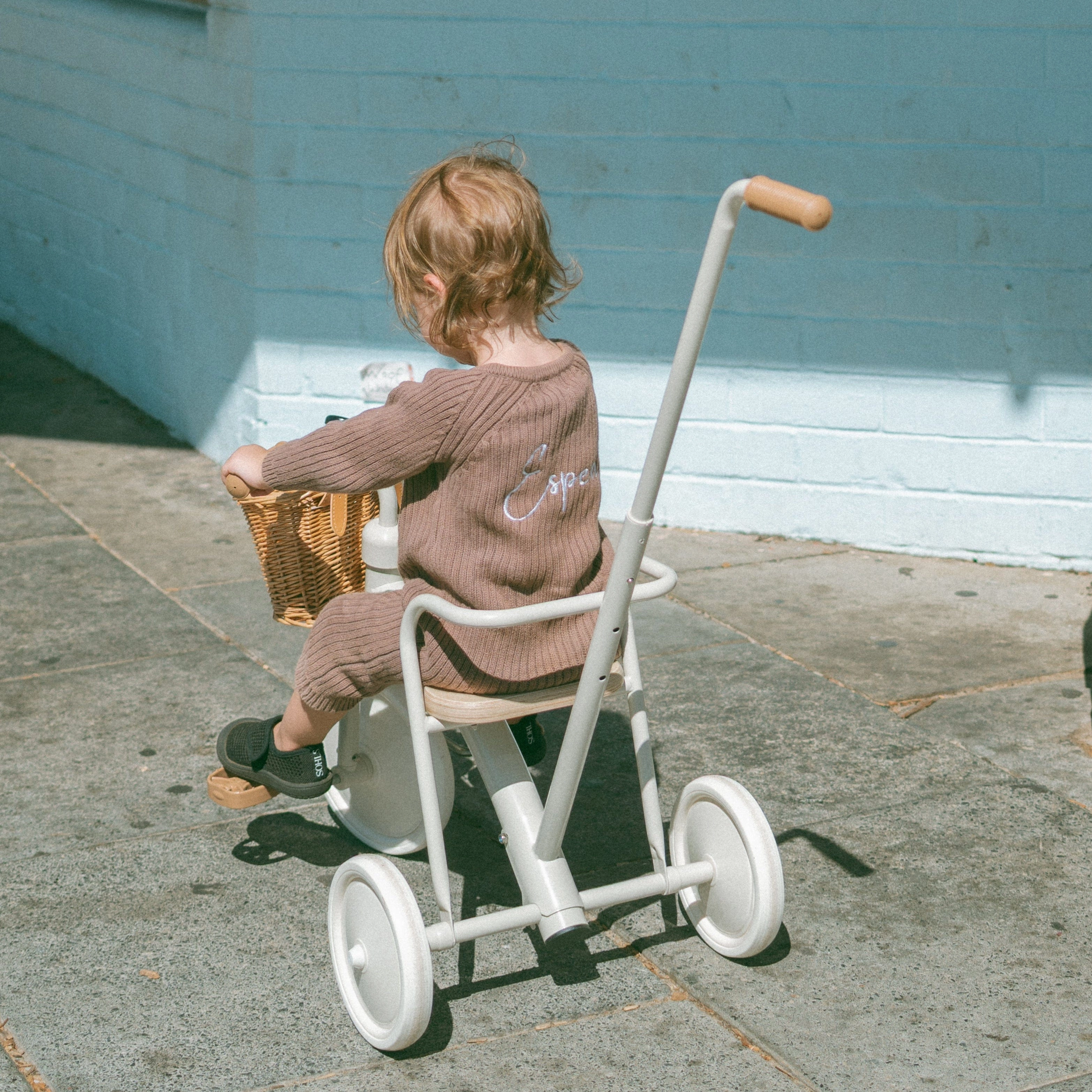 My First Pedal Trike with Parent Push Handle