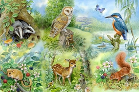 Nature Study - BIG 250 Piece Jigsaw Puzzle