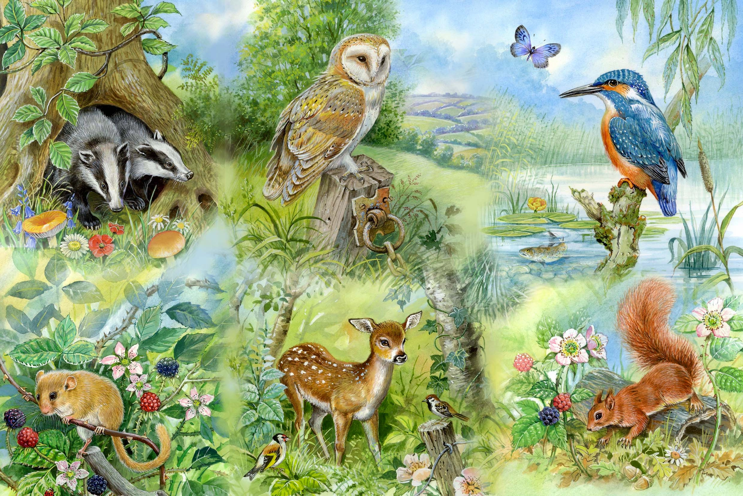 Nature Study - BIG 250 Piece Jigsaw Puzzle