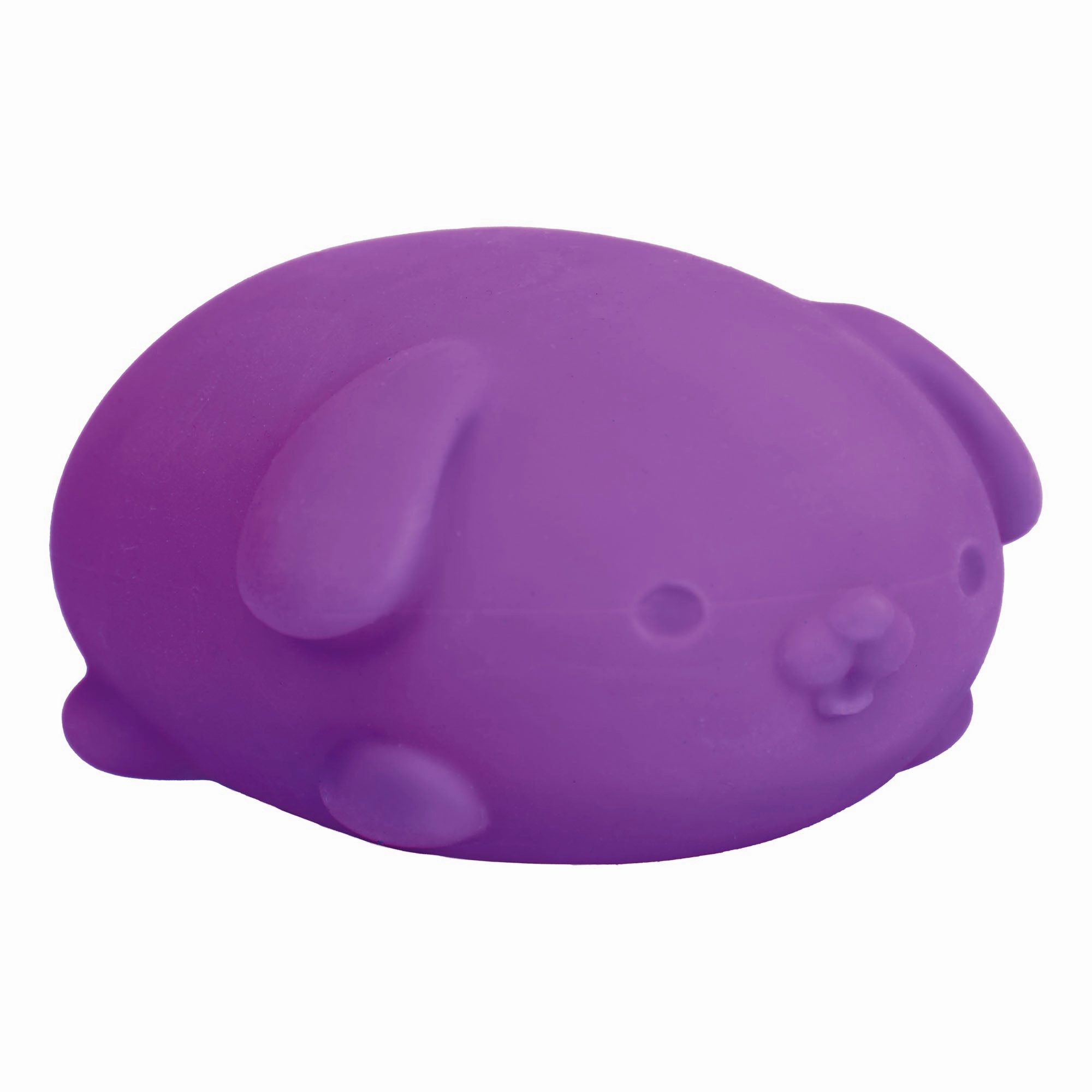 NeeDoh Funky Pup (Sold individually)
