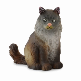 Norwegian Forest Cat Sitting