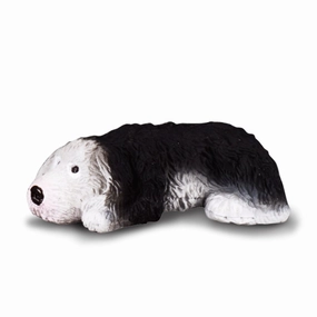 Old English Sheepdog Puppy