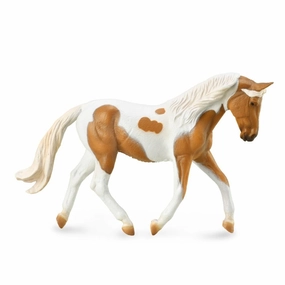 Pinto Mare Palomino