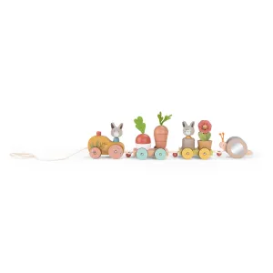Pull Along Activity Train - Trois Petits Lapins