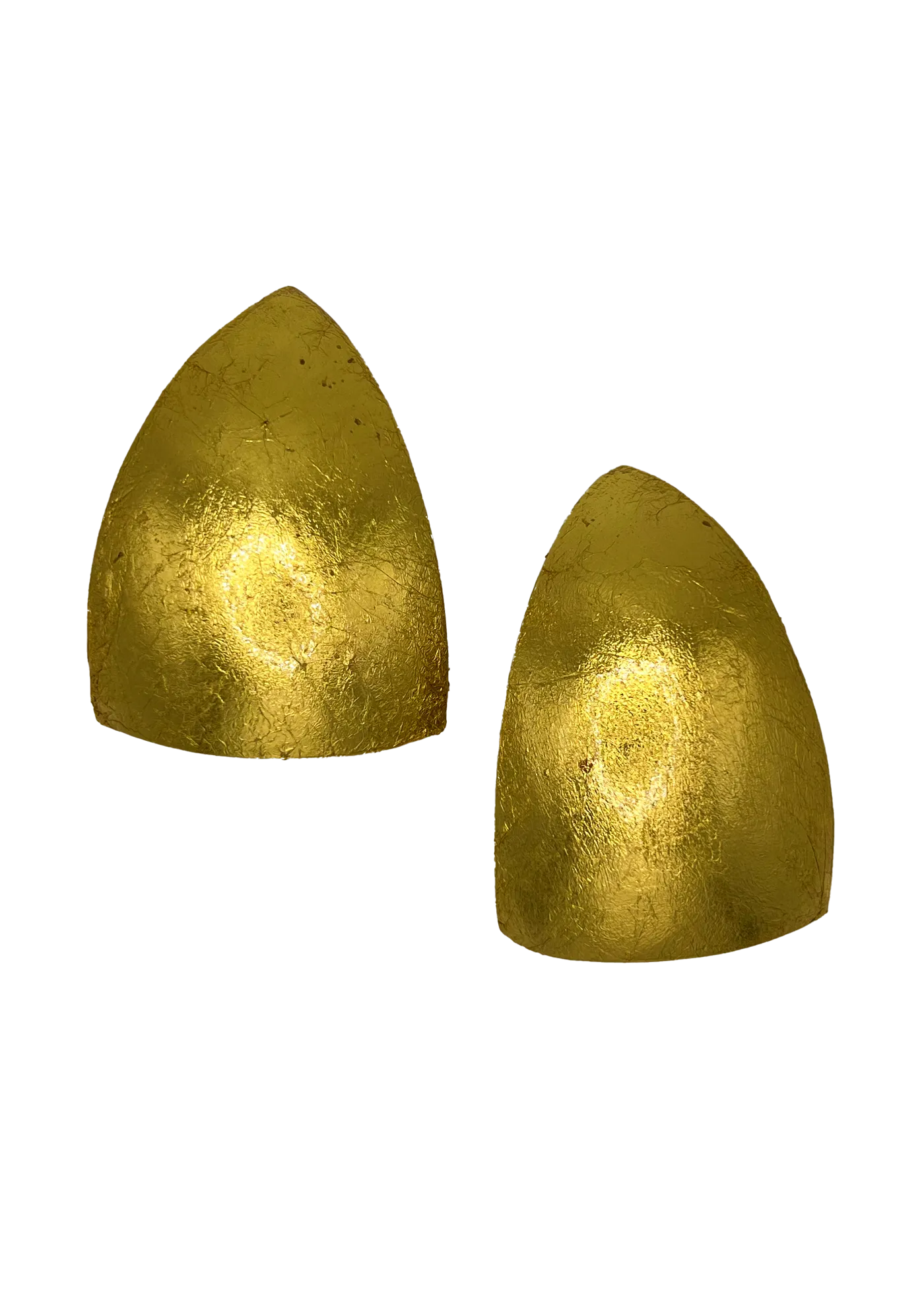 Rasi Earrings