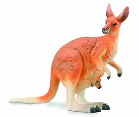 Red Kangaroo - Female with Joey