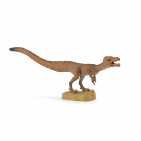 Sciurumimus