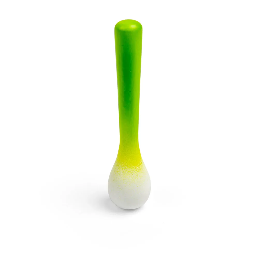 Spring Onion (Pack of 2)