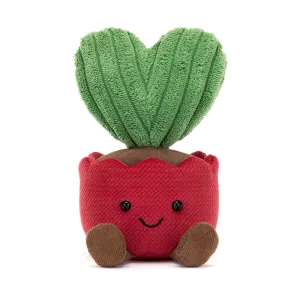 Teddy - Amuseables Kerrii Cactus