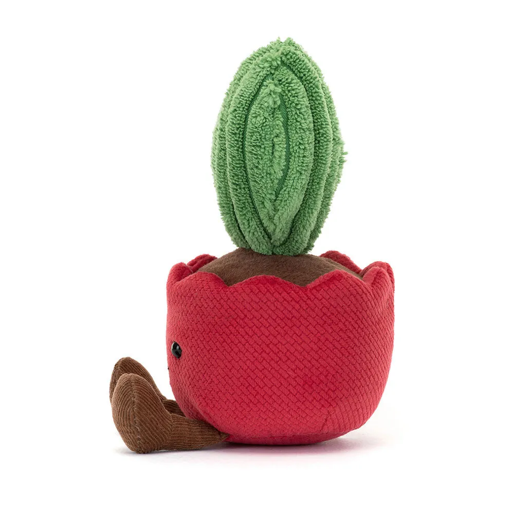 Teddy - Amuseables Kerrii Cactus