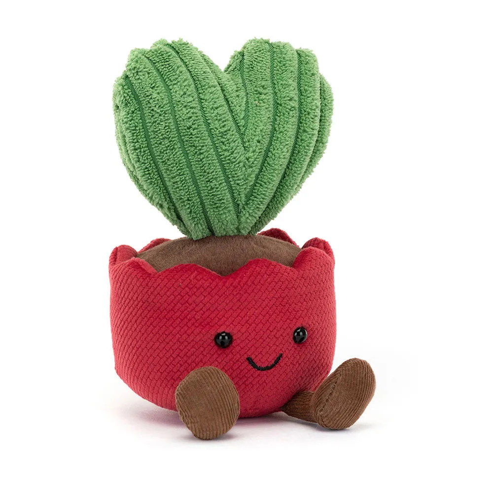 Teddy - Amuseables Kerrii Cactus